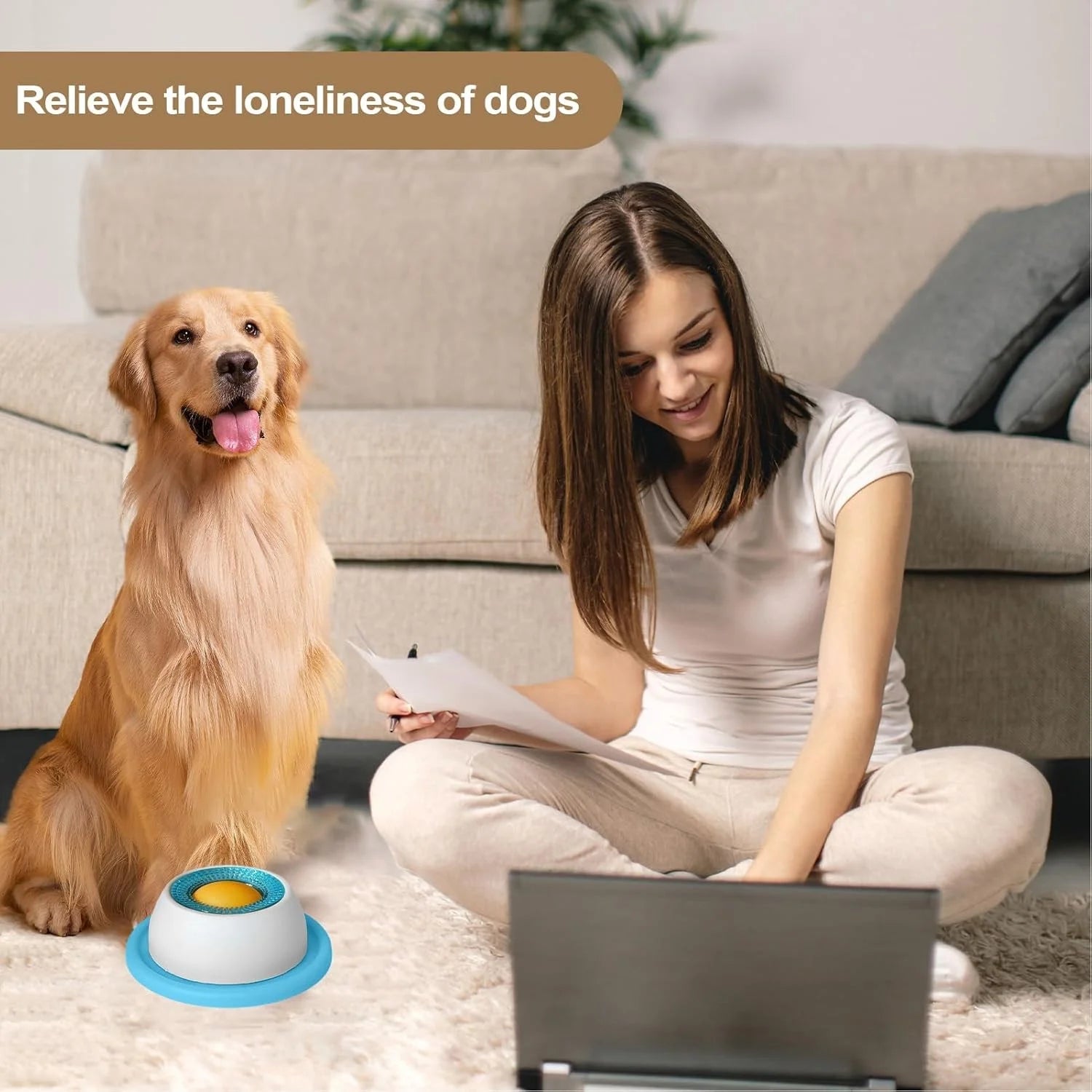 Dog lick bowl in use at mealtime
