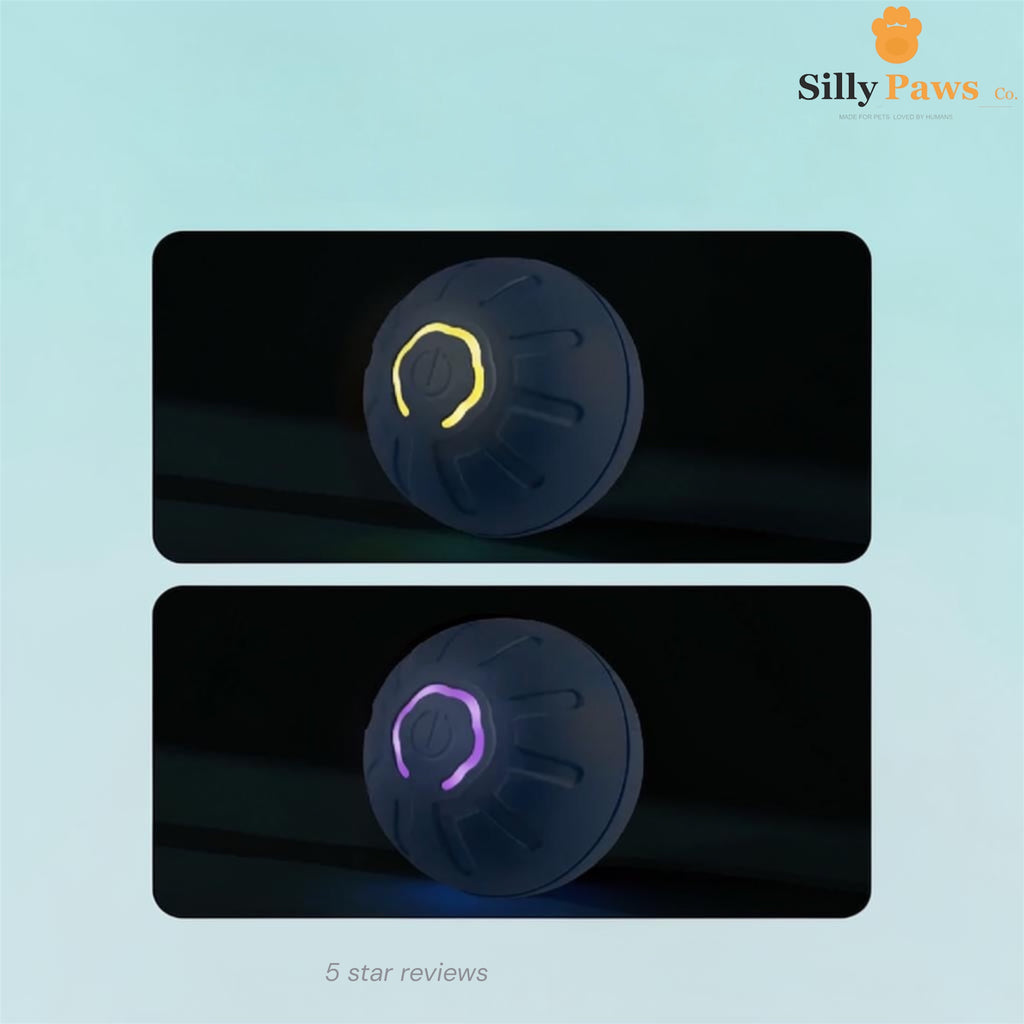 Zoomie Ball™ — USB Smart Interactive Dog & Cat Toy