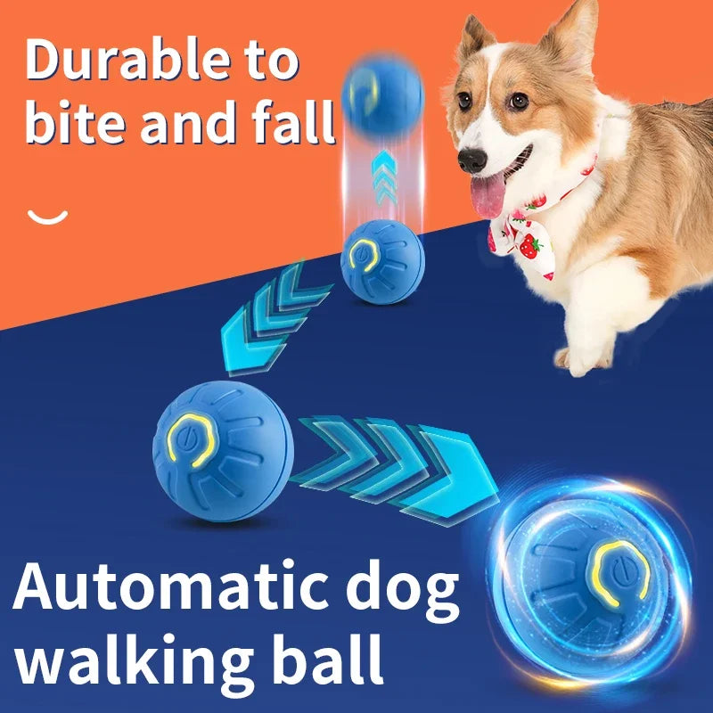 Zoomie Ball™ — USB Smart Interactive Dog & Cat Toy