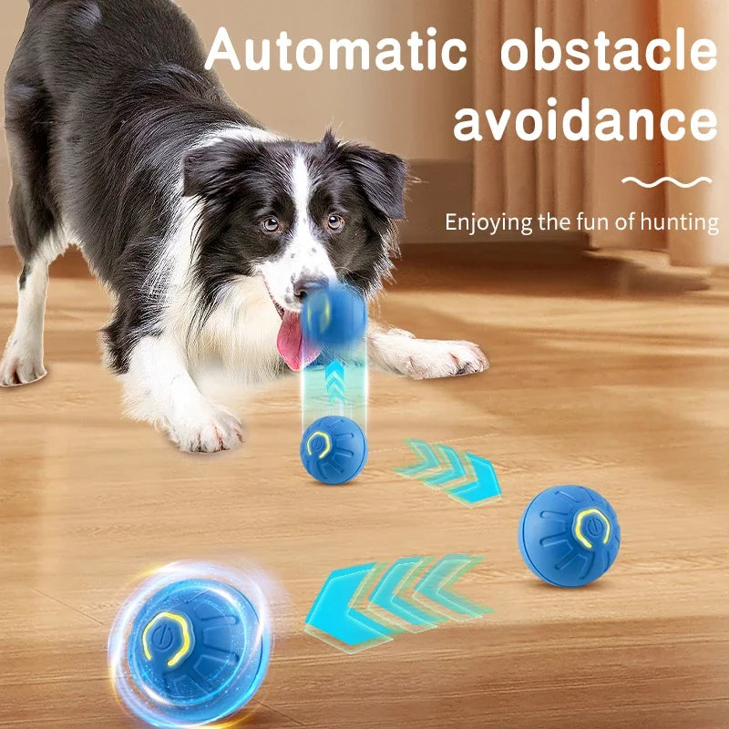 Zoomie Ball™ — USB Smart Interactive Dog & Cat Toy
